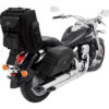 Stock image of SADDLEMEN S2200E Expandable Sissy Bar Bag product