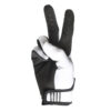 Stock image of Fasthouse Carbon Eternal Gloves product