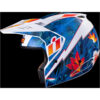 Stock image of ICON Elsinore Kaonohi Helmet product
