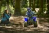 Stock image of 2025 Yamaha  Yamaha YFZ 50 product