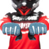 Stock image of Fasthouse Youth Speed Style The Bird Gloves product