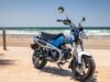 Stock image of 2025 Honda  Dax 125 Base product