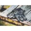 Stock image of Highway 21 Louie Gloves product
