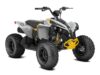 Stock image of 2026 Can-Am  Renegade 110 EFI Base product