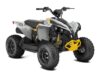Stock image of 2026 Can-Am  Renegade 70 EFI Base product