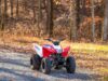 Stock image of 2026 Honda  TRX250X Base product