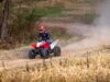 Stock image of 2026 Honda  TRX250X Base product