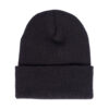 Stock image of Fasthouse Tavern Beanie product