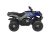 Stock image of 2026 Yamaha Grizzly 110 Base product