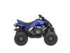 Stock image of 2026 Yamaha  Raptor 110 Base product