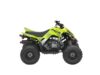 Stock image of 2026 Yamaha  Raptor 110 Base product