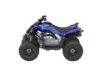 Stock image of 2026 Yamaha  Raptor 110 Base product