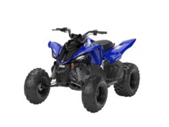 2026 Yamaha  Raptor 110 Base