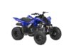 Stock image of 2026 Yamaha  Raptor 110 Base product