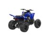 Stock image of 2026 Yamaha  Raptor 110 Base product