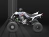 Stock image of 2026 Yamaha  Raptor 700 Base product