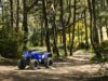 Stock image of 2026 Yamaha YFZ50 Base product