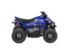 Stock image of 2026 Yamaha YFZ50 Base product