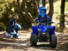 Stock image of 2026 Yamaha YFZ50 Base product
