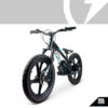 Stock image of Stacyc Electric Bikes Stacyc 20EDRIVE product