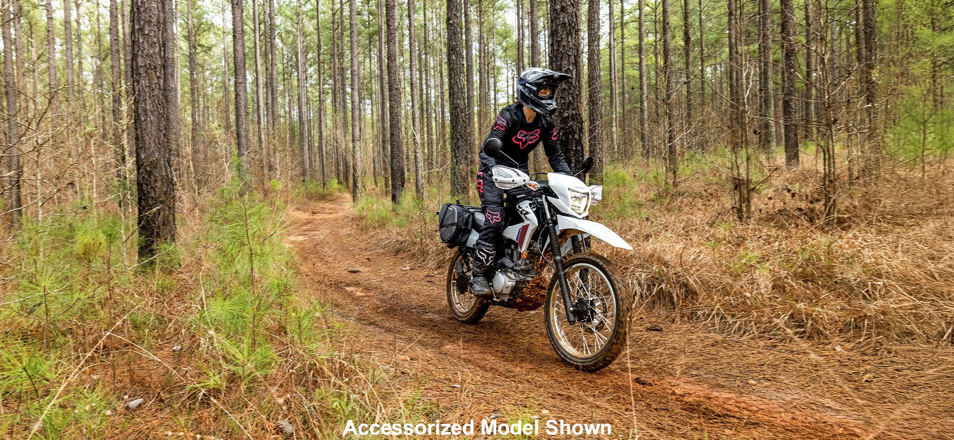 2026 Honda XR150L 2026 Honda Honda XR150L - Image 4