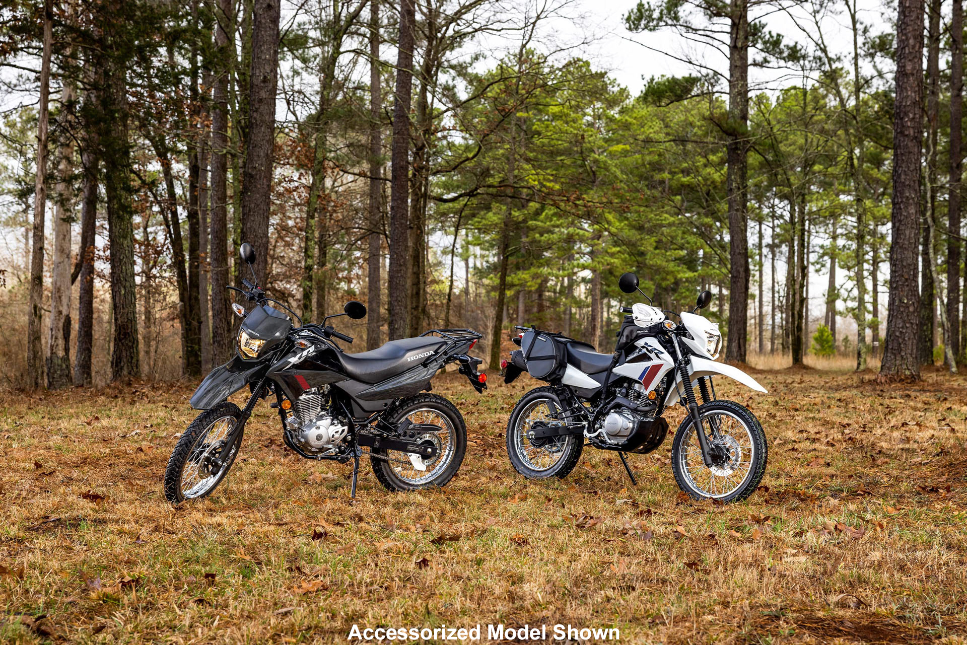 2026 Honda XR150L 2026 Honda Honda XR150L - Image 8