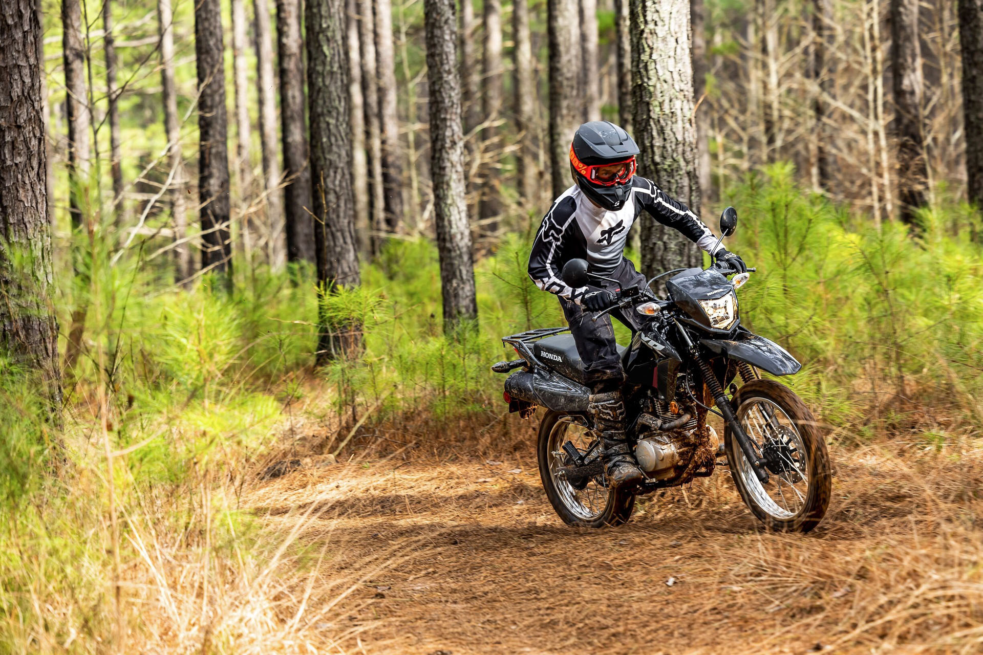 2026 Honda XR150L 2026 Honda Honda XR150L - Image 9