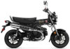 Stock image of 2026 Honda  Honda Dax 125 product