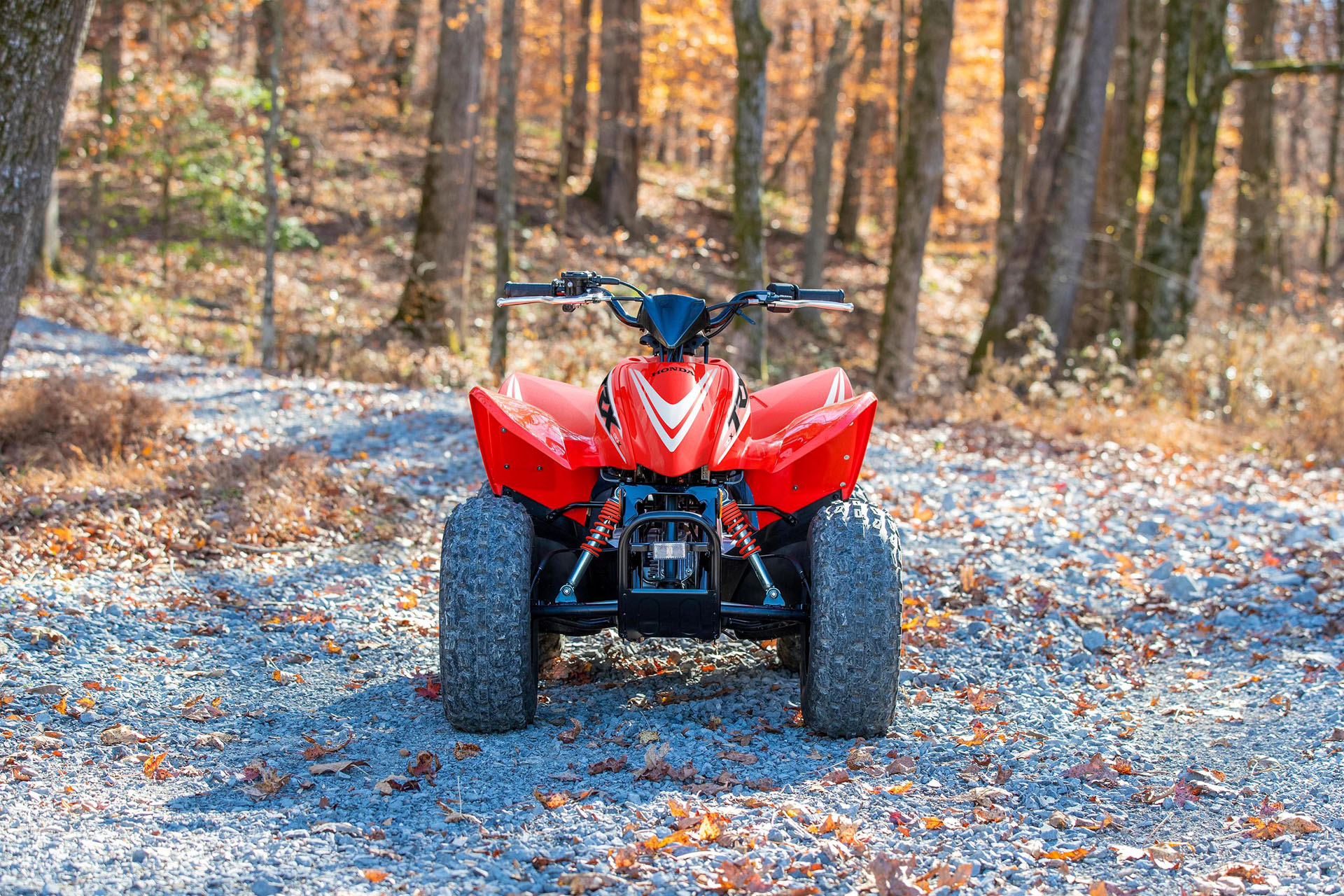 2026 Honda TRX90X 2026 Honda Honda TRX90X - Image 5