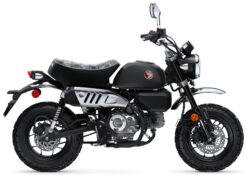 2026 Honda  Honda Monkey ABS