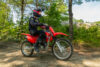 Stock image of 2027 Honda  Honda CRF125F Big Wheel product