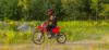 Stock image of 2027 Honda  Honda CRF125F Big Wheel product