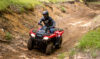 Stock image of 2027 Honda  Honda FourTrax Rancher 4x4 product
