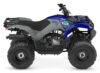 Stock image of 2027 Yamaha  Yamaha Grizzly 110 product
