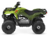 Stock image of 2027 Yamaha  Yamaha Grizzly 110 product