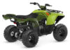 Stock image of 2027 Yamaha  Yamaha Grizzly 110 product