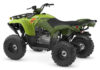 Stock image of 2027 Yamaha  Yamaha Grizzly 110 product