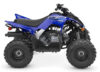Stock image of 2027 Yamaha  Yamaha Raptor 110 product