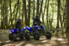 Stock image of 2027 Yamaha  Yamaha Raptor 110 product