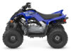 Stock image of 2027 Yamaha  Yamaha Raptor 110 product