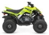Stock image of 2027 Yamaha  Yamaha Raptor 110 product