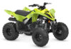 Stock image of 2027 Yamaha  Yamaha Raptor 110 product