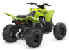 Stock image of 2027 Yamaha  Yamaha Raptor 110 product