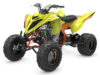 Stock image of 2027 Yamaha  Yamaha Raptor 700R SE product