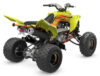 Stock image of 2027 Yamaha  Yamaha Raptor 700R SE product