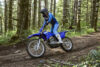 Stock image of 2027 Yamaha  Yamaha TT R230 product