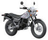 Stock image of 2027 Yamaha  Yamaha TW200 product