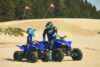 Stock image of 2027 Yamaha  Yamaha YFZ50 product