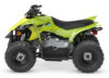Stock image of 2027 Yamaha  Yamaha YFZ50 product