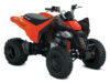 2027 Can-Am DS 250